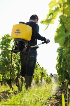 Berthoud Vermorel 2000 PRO Comfort Rugspuit 16 Liter 7 Berthoud Vermorel 2000 PRO Comfort Rugspuit 16 Liter -Tuingereedschaps Winkel 3176241020224 2