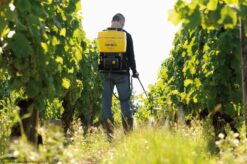 Berthoud Vermorel 3000 PRO Comfort Elektrische Rugspuit 18 Liter 9 Berthoud Vermorel 3000 PRO Comfort Elektrische Rugspuit 18 Liter -Tuingereedschaps Winkel 3176241021399 3