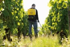 Berthoud Vermorel 3000 PRO Comfort Elektrische Rugspuit 18 Liter -Tuingereedschaps Winkel 3176241021399 3