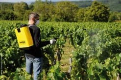 Berthoud Cosmos 18 Pro Rugspuit 18 Liter 9 Berthoud Cosmos 18 Pro Rugspuit 18 Liter -Tuingereedschaps Winkel 3176241022150 4