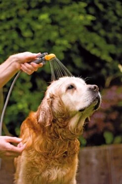 Hozelock Drukspuit 4 In 1 Tuindouche -Tuingereedschaps Winkel 5010646051361 3