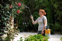 Hozelock Drukspuit Pulsar Plus 5 Liter -Tuingereedschaps Winkel 5010646062671 2