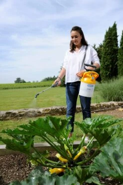 Hozelock Drukspuit Pulsar Plus 5 Liter -Tuingereedschaps Winkel 5010646062671 6