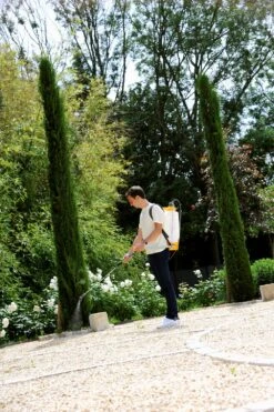 Hozelock Rugspuit Pulsar Plus Comfort 16 Liter -Tuingereedschaps Winkel 5010646062756 5