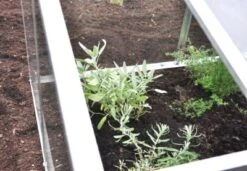 Royal Well Broeikas Jumbo -Tuingereedschaps Winkel 5010697007416 18 Aangepast