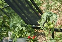 Eden Rolscherm 59 X 190 Cm Set A 2 -Tuingereedschaps Winkel 5034223051193 5 Aangepast