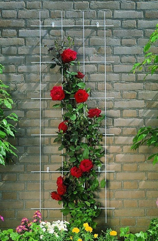 Nature Klimplantrek Metaal Grijs 145 X 42.5 Cm 4 Nature Klimplantrek Metaal Grijs 145 X 42.5 Cm - Afbeelding 2