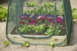 Nature Tuinkas Pop-up Anti-Insectennet H100 X 100 X 100 Cm -Tuingereedschaps Winkel 8711338204092 2