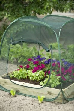 Nature Tuinkas Pop-up Anti-Insectennet H100 X 100 X 100 Cm -Tuingereedschaps Winkel 8711338204092 4