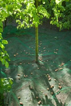 Nature Raapnet 4,3x4,3 Meter 7 Nature Raapnet 4,3x4,3 Meter -Tuingereedschaps Winkel 8711338304518 2 0