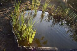 Nature Borderrand Zwart 7mm H19cm X 15m -Tuingereedschaps Winkel 8711465301015 3