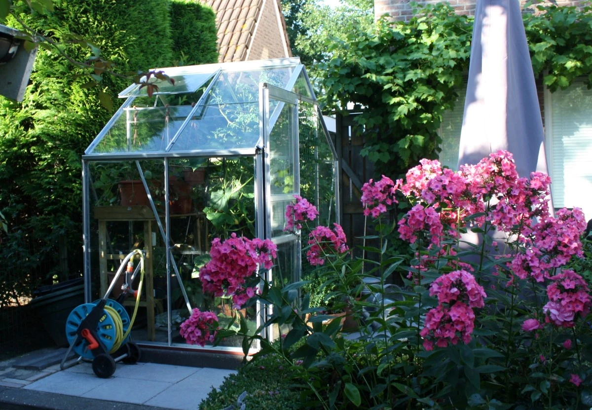 Royal Well Tuinkas En Fundering Popular 46 Blank Tuindersglas 3mm 6 Royal Well Tuinkas En Fundering Popular 46 Blank Tuindersglas 3mm - Afbeelding 4