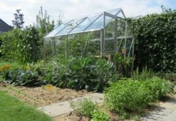 Royal Well Tuinkas En Fundering Popular 86 Blank Tuindersglas 3m -Tuingereedschaps Winkel 8718215760023 5 Aangepast 1