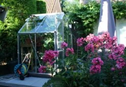 Royal Well Tuinkas Popular 46 Blank Veiligheidsglas 3mm -Tuingereedschaps Winkel 8718215760047 3 Custom