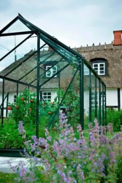 Royal Well Tuinkas Popular 106 Groen Gecoat Veiligheidsglas 3mm -Tuingereedschaps Winkel 8718215760153 3