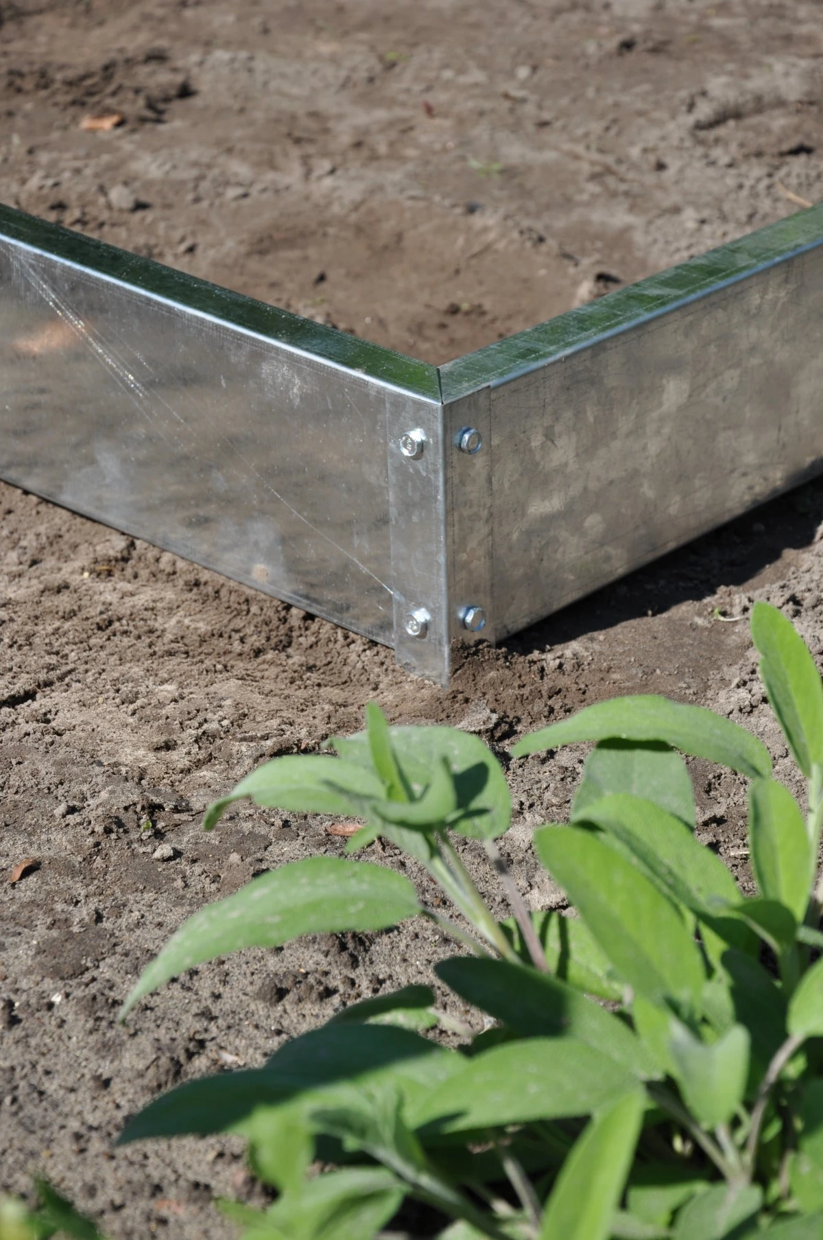 Royal Well Tuinkas En Fundering Popular 46 Blank Tuindersglas 3mm 8 Royal Well Tuinkas En Fundering Popular 46 Blank Tuindersglas 3mm - Afbeelding 6