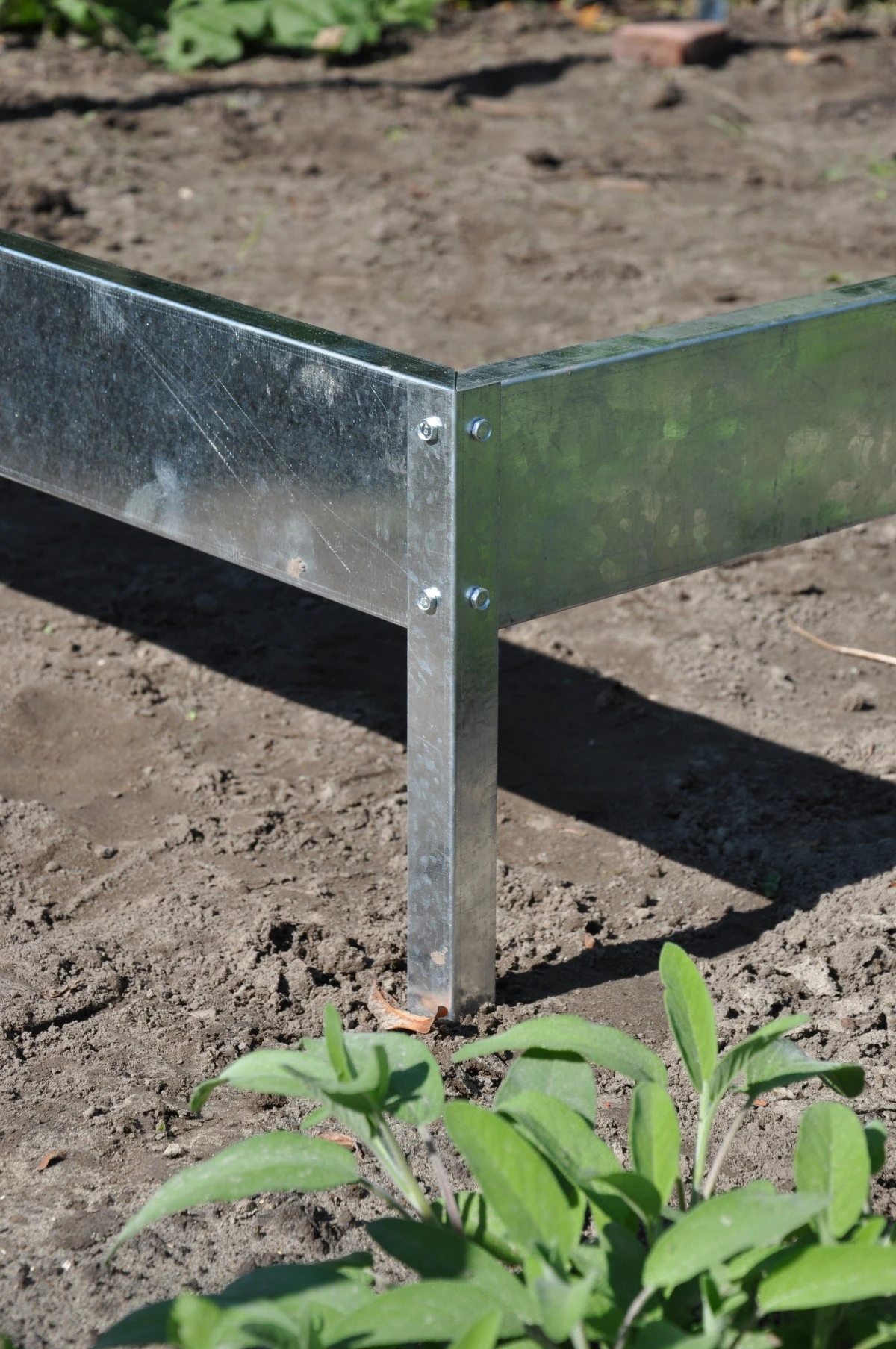 Royal Well Tuinkas En Fundering Popular 46 Blank Tuindersglas 3mm 11 Royal Well Tuinkas En Fundering Popular 46 Blank Tuindersglas 3mm - Afbeelding 9