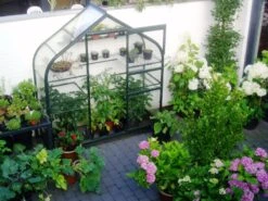 Royal Well Muurkas Supreme Incl. Fundering Groen -Tuingereedschaps Winkel 8718215760993 4 Aangepast