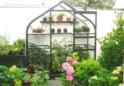 Royal Well Muurkas Supreme Incl. Fundering Groen -Tuingereedschaps Winkel 8718215760993 5 Aangepast