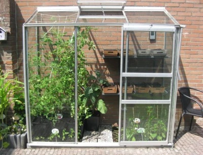 Royal Well Muurkas Wall Garden 62 Veiligheidsglas 3mm 8 Royal Well Muurkas Wall Garden 62 Veiligheidsglas 3mm - Afbeelding 6