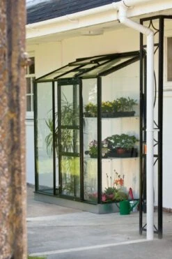 Royal Well Muurkas Wall Garden 62 Groen Gecoat Veiligheidsglas -Tuingereedschaps Winkel 8718215761075 4 Aangepast