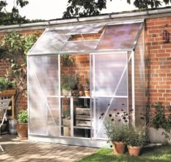 Royal Well Muurkas Mini 3