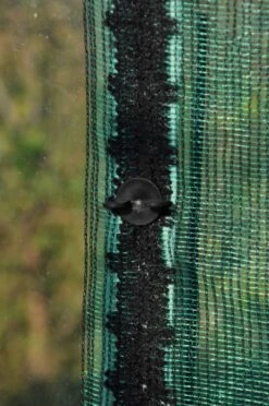 Royal Well Schermgaas 400 Cm Breed Groen -Tuingereedschaps Winkel 8718226337269 3 Aangepast