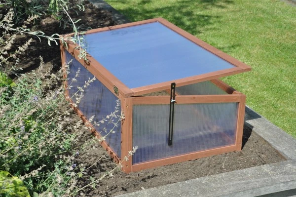 Royal Well Broeikas Sweet Tomato 12 Royal Well Broeikas Sweet Tomato - Afbeelding 10