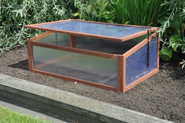 Royal Well Broeikas Sweet Tomato 8 Royal Well Broeikas Sweet Tomato - Afbeelding 6