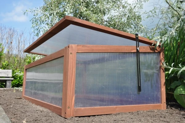 Royal Well Broeikas Sweet Tomato 10 Royal Well Broeikas Sweet Tomato - Afbeelding 8