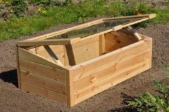 Royal Well Broeikas Strawberry Queen -Tuingereedschaps Winkel 8718226337436 6 Aangepast