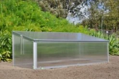 Royal Well Broeikas Viola -Tuingereedschaps Winkel 8718226338075 8 Aangepast