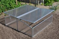 Royal Well Broeikas Silver Thyme -Tuingereedschaps Winkel 8718226338082 3 Aangepast