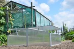 Royal Well Broeikas Silver Thyme -Tuingereedschaps Winkel 8718226338082 4 Aangepast