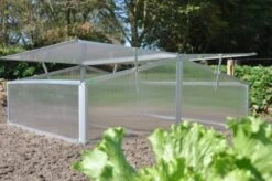 Royal Well Broeikas Silver Thyme -Tuingereedschaps Winkel 8718226338082 5 Aangepast