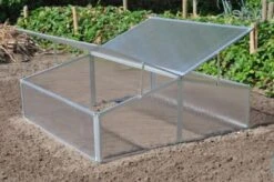 Royal Well Broeikas Silver Thyme -Tuingereedschaps Winkel 8718226338082 6 Aangepast