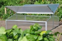 Royal Well Broeikas Silver Thyme -Tuingereedschaps Winkel 8718226338082 8 Aangepast