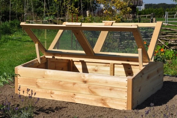 Royal Well Broeikas Chili Pepper 3 Royal Well Broeikas Chili Pepper