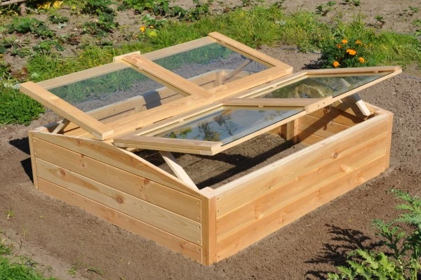 Royal Well Broeikas Chili Pepper 5 Royal Well Broeikas Chili Pepper - Afbeelding 3