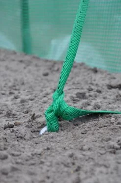 Royal Well Ankerset -Tuingereedschaps Winkel 8718226338327 6