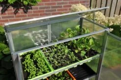 Royal Well Patiokas Grow Station -Tuingereedschaps Winkel 8718226338358 4 Aangepast