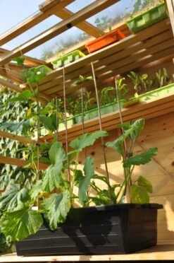 Royal Well Kweekbak / Container 40 L - 60 X 40 X 18 Cm Zwart -Tuingereedschaps Winkel 8718226338365 3 Aangepast