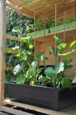 Royal Well Kweekbak / Container 40 L - 60 X 40 X 18 Cm Zwart -Tuingereedschaps Winkel 8718226338365 5 Aangepast