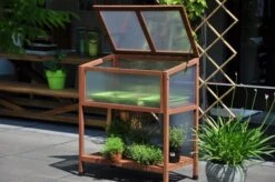 Royal Well Broeikas Red Leaf