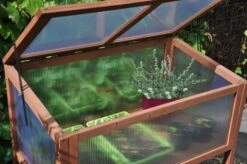 Royal Well Broeikas Red Leaf -Tuingereedschaps Winkel 8718226339133 10 Aangepast