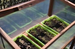 Royal Well Broeikas Red Leaf -Tuingereedschaps Winkel 8718226339133 11 Aangepast