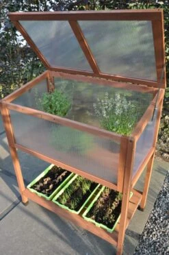 Royal Well Broeikas Red Leaf -Tuingereedschaps Winkel 8718226339133 4 Aangepast