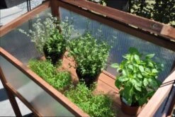 Royal Well Broeikas Red Leaf -Tuingereedschaps Winkel 8718226339133 5 Aangepast