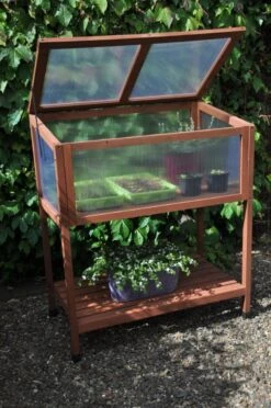 Royal Well Broeikas Red Leaf -Tuingereedschaps Winkel 8718226339133 9 Aangepast