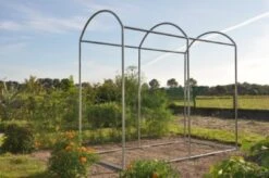 Royal Well Foliekas Maxi Tomato Galva -Tuingereedschaps Winkel 8718226339188 11 Aangepast